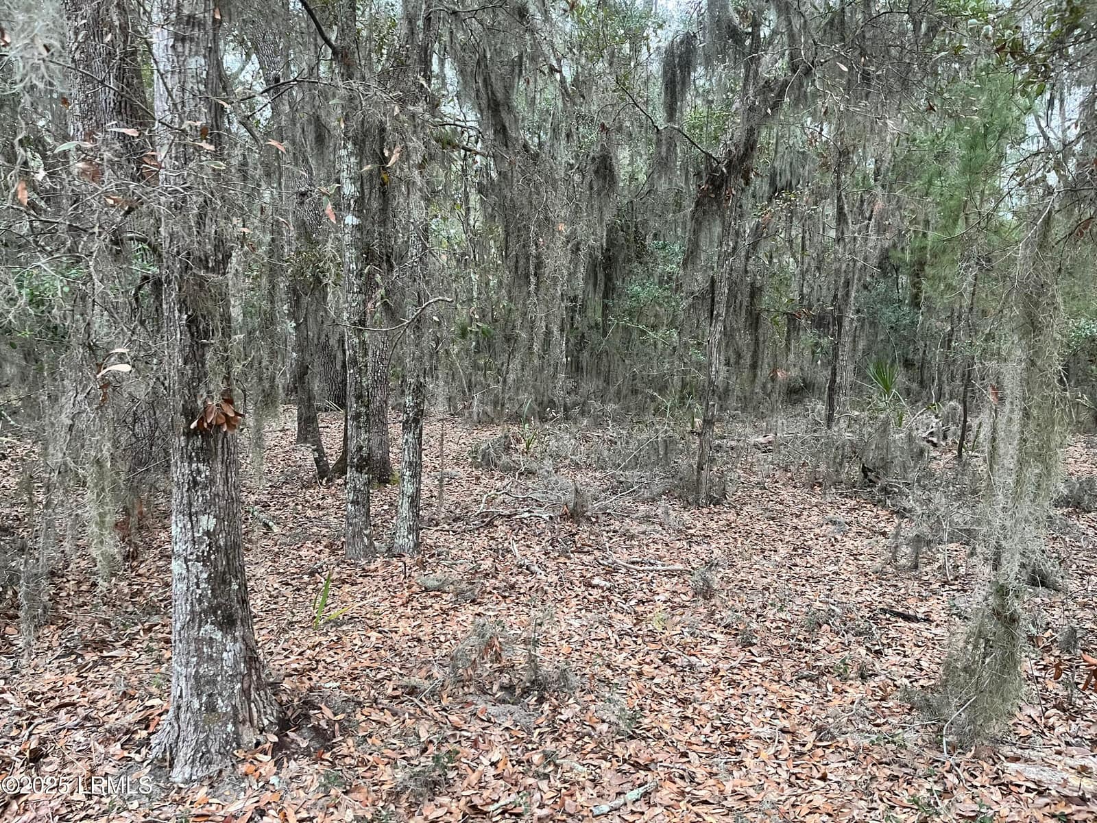 81 Grand Oaks Way, Beaufort, SC 29907 — photo 1 of 2