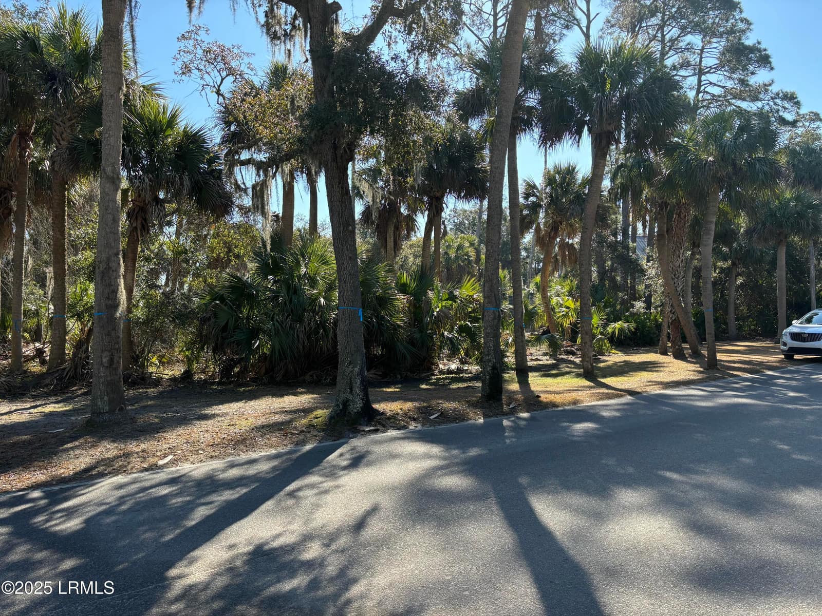 307 Deer Pointe Court, Fripp Island, SC 29920 — photo 1 of 8