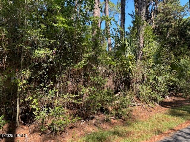 21 Lakeview Lane, Harbor Island, SC 29920 — photo 1 of 18