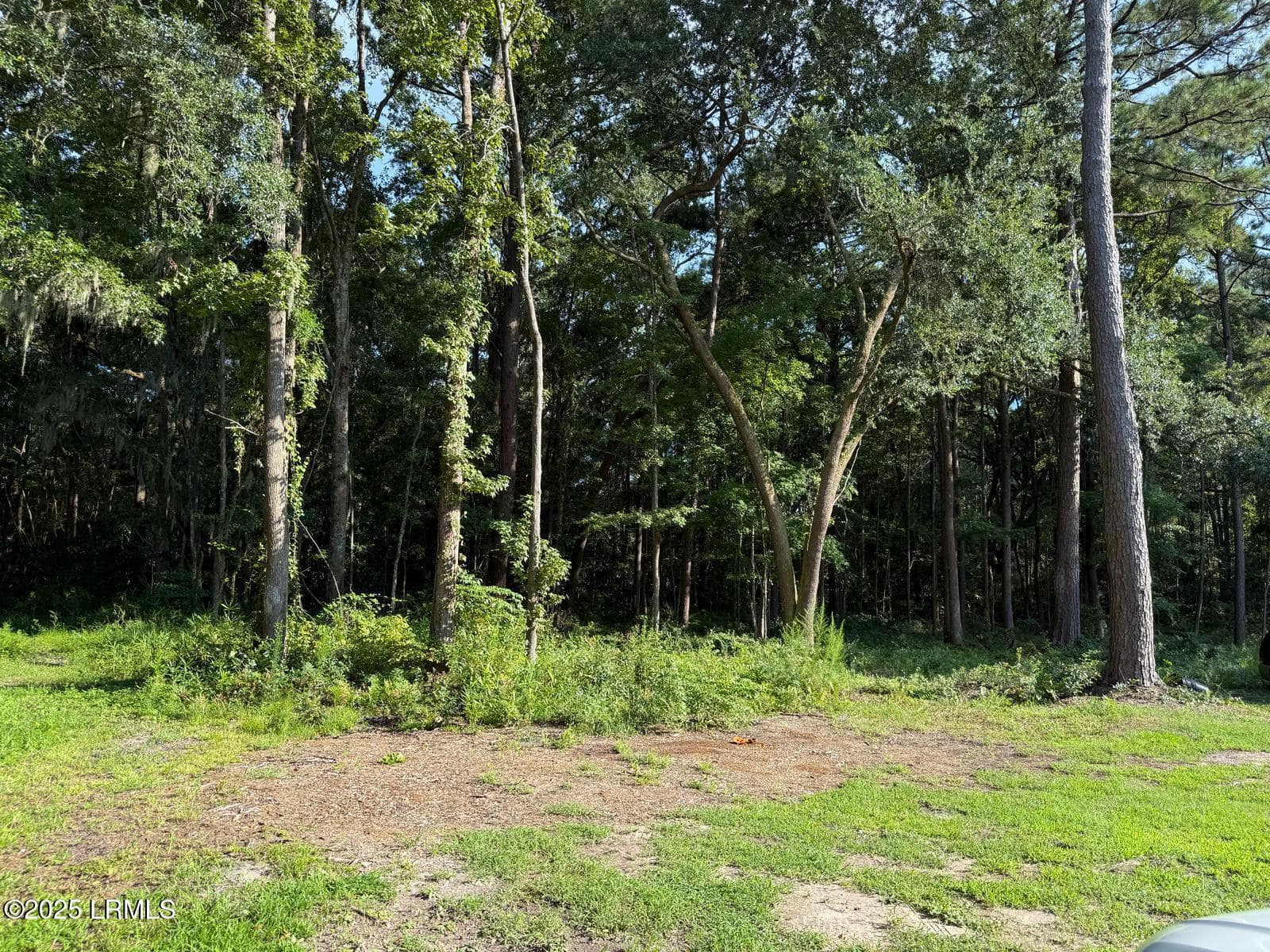 23 Joe Frazier Road, Burton, SC 29906 — photo 1 of 6