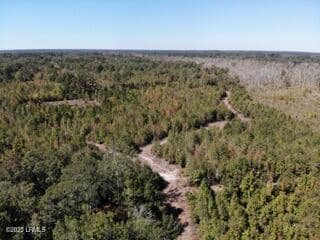 Tbd Broxton Bridge Road, Bamberg, SC 29003 — photo 1 of 9