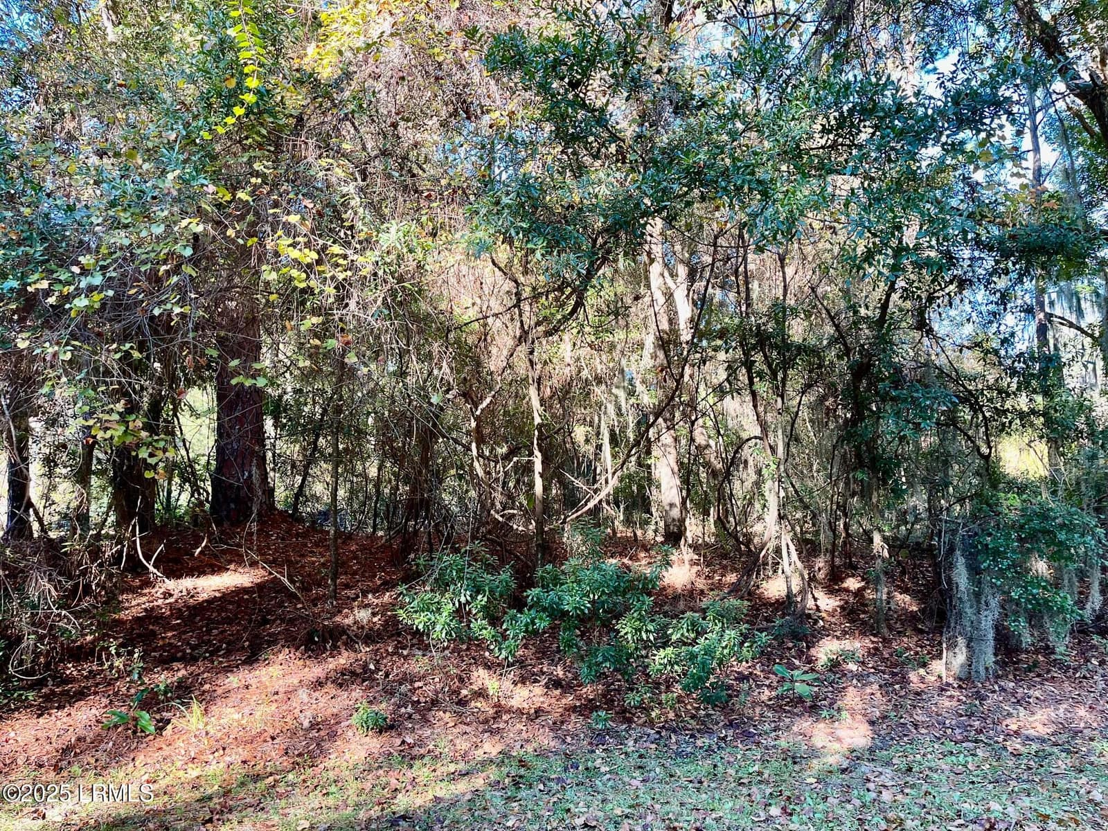 5 Shade Tree Lane, Lady's Island, SC 29907 — photo 1 of 1