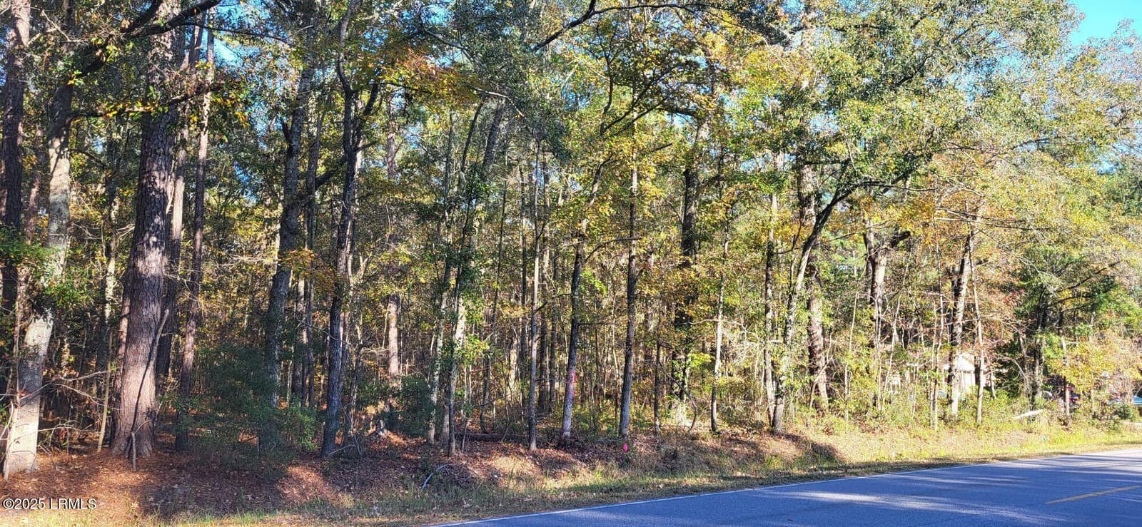 407 Wade Hampton Road, Hampton, SC 29924 — photo 1 of 2