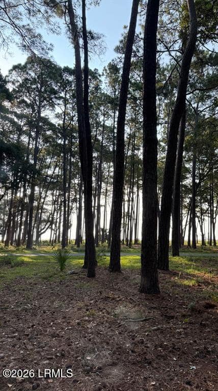87 Martinangel Lane, Daufuskie Island, SC 29915 — photo 1 of 1