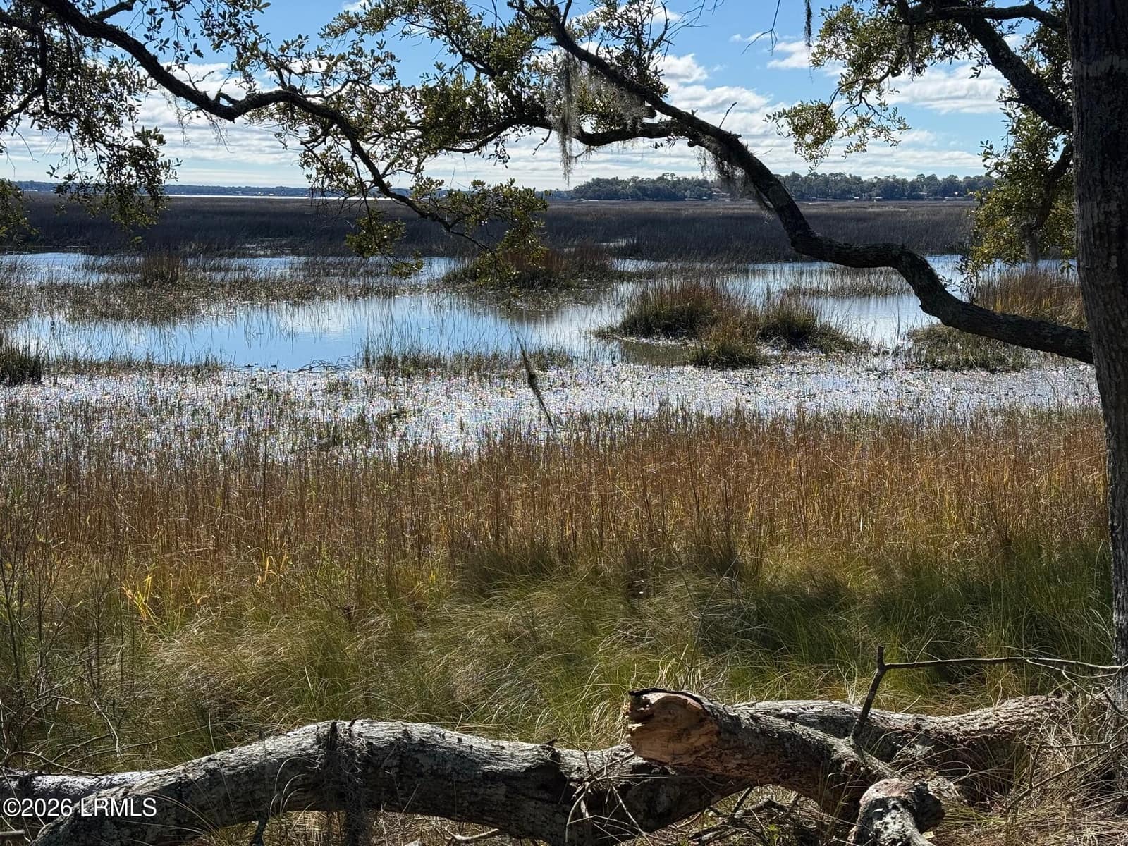 74 Downing Drive, Beaufort, SC 29907 — photo 1 of 12
