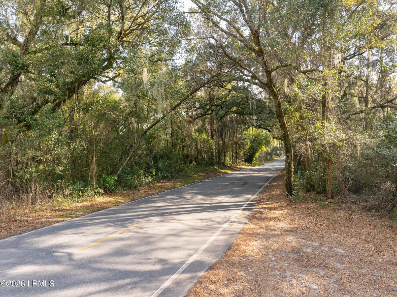 Tbd Meridian Road, Beaufort, SC 29907 — photo 1 of 11