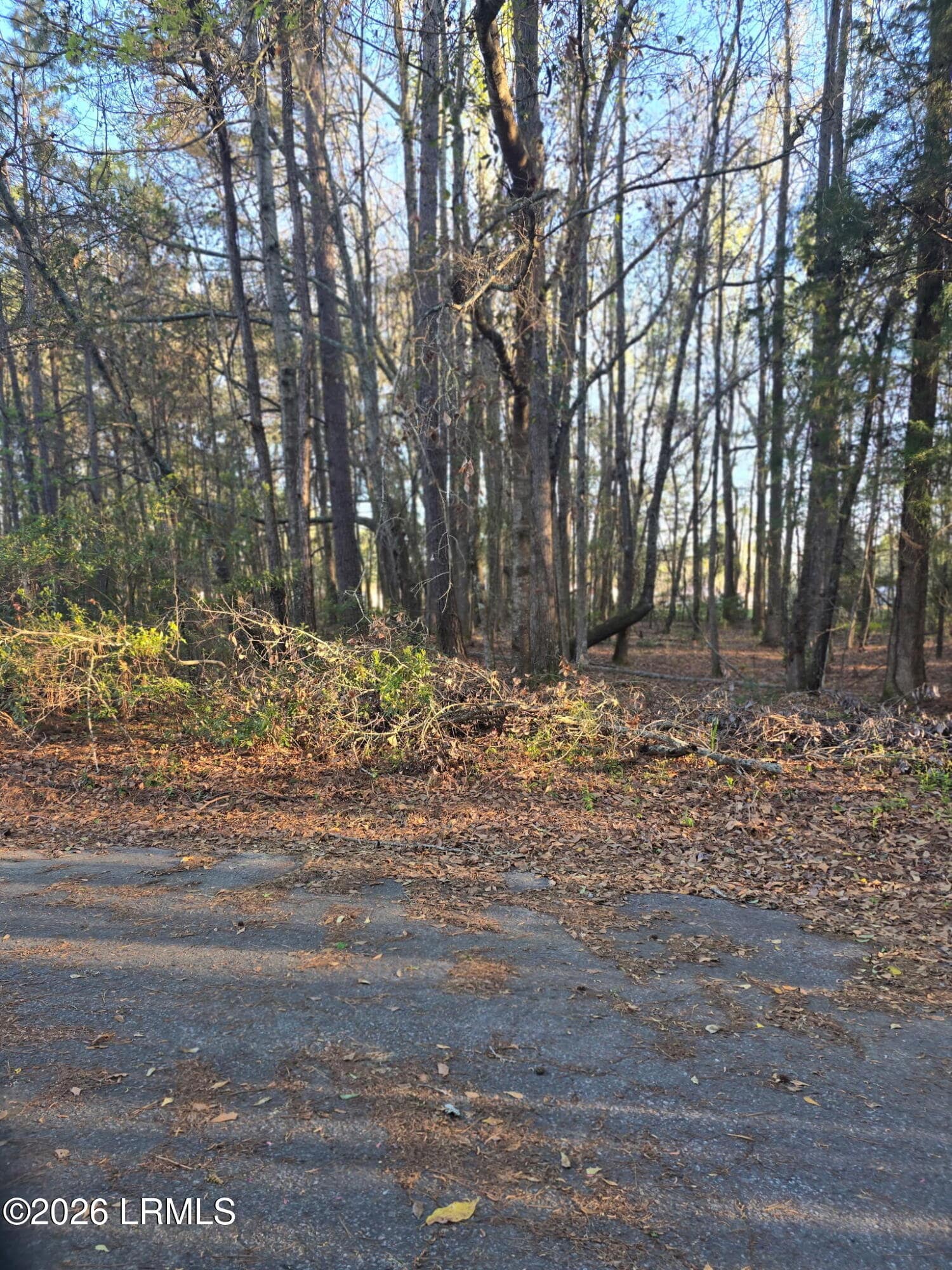 Lot 12 Freeman Street, Brunson, SC 29911 — photo 1 of 8