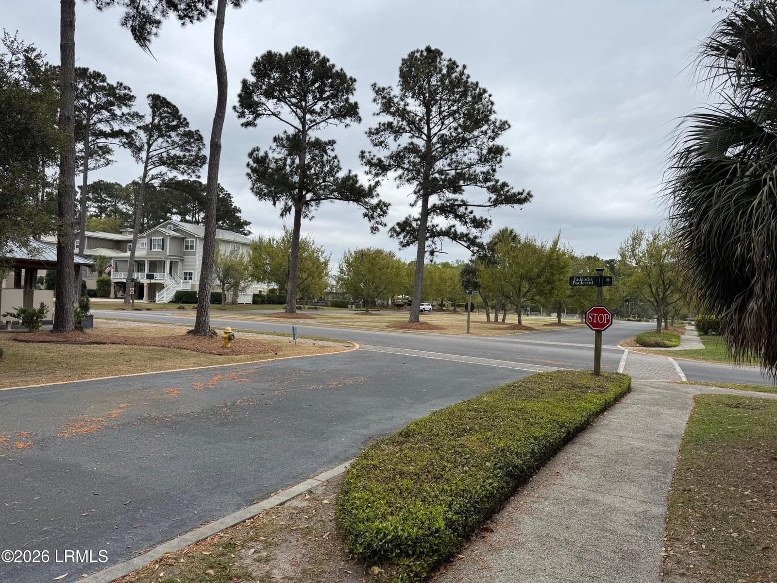 24 Welsh Pony Circle, Hilton Head Island, SC 29926 — photo 1 of 6