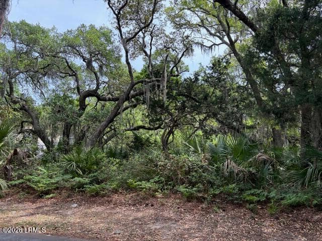 15 Lakeview Lane, Harbor Island, SC 29920 — photo 1 of 6