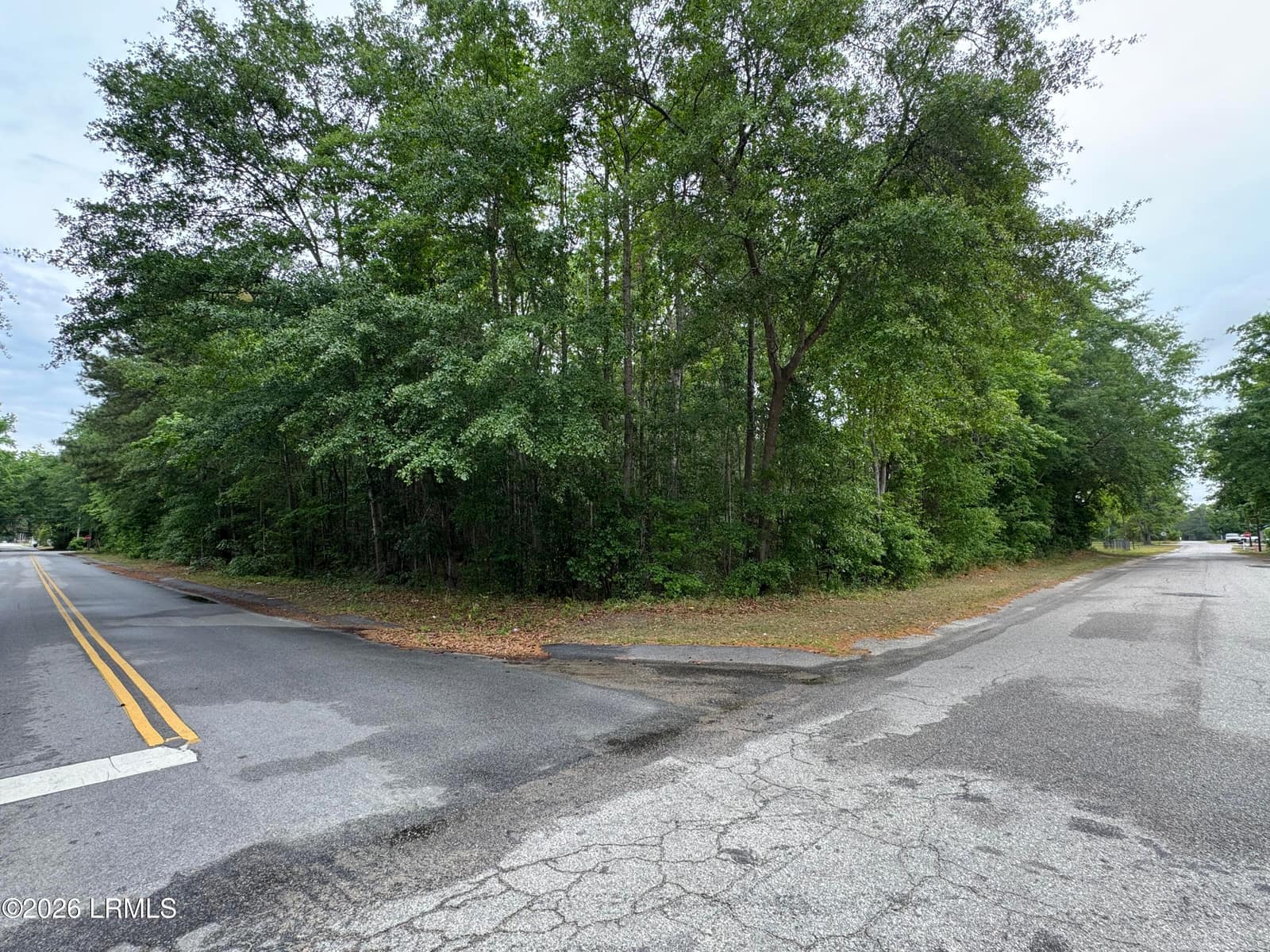 00 Ellis Avenue, Estill, SC 29918 — photo 1 of 5