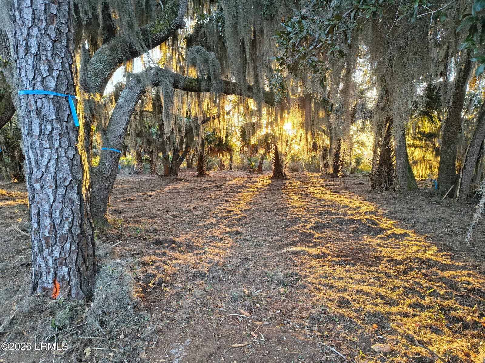 510 Broad River Drive, Beaufort, SC 29906 — photo 1 of 3
