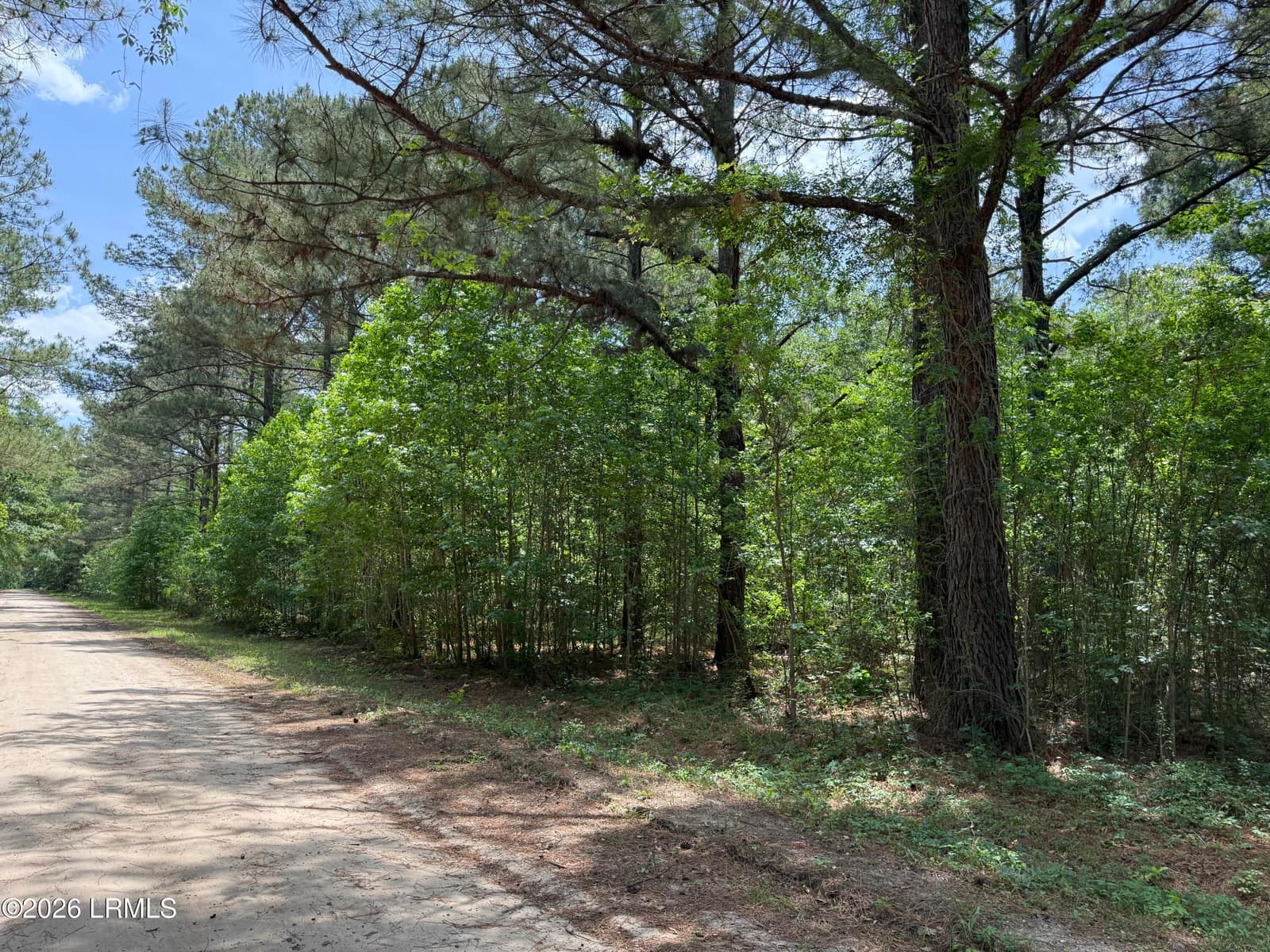 12 Rubie Lane, Yemassee, SC 29945 — photo 1 of 9