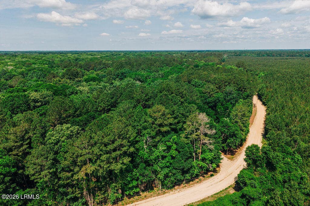 0 Parnel Road, Cope, SC 29038 — photo 1 of 13