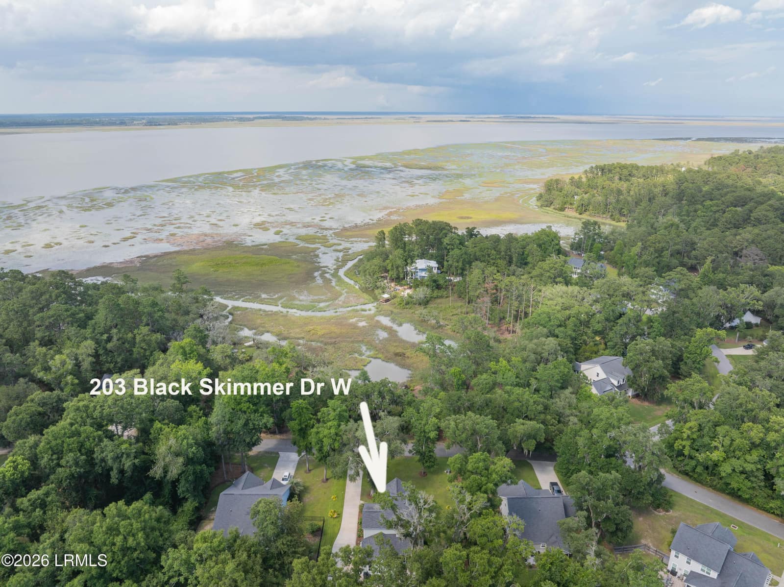 203 Black Skimmer Drive W, Beaufort, SC 29907 — photo 1 of 46