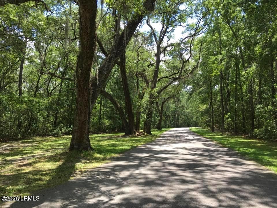 85 Tomotley Barony Drive, Seabrook, SC 29940 — photo 1 of 14