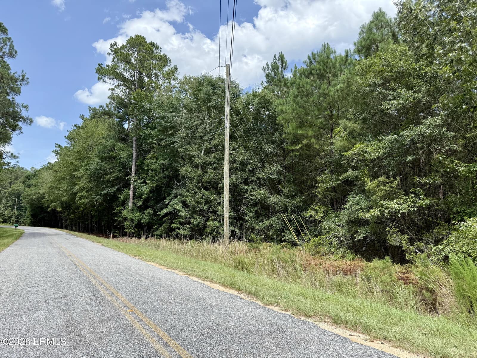 Tbd Cohen Road, Pineland, SC 29934 — photo 1 of 5