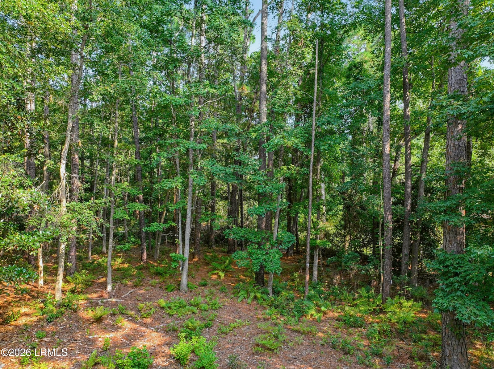 86 Wade Hampton Drive, Beaufort, SC 29907 — photo 1 of 10