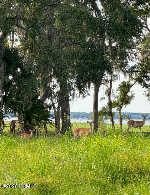 7 Turnstone Drive N, Beaufort, SC 29907 — photo 1 of 18