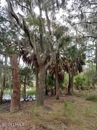 8 Governor Blake Drive, Beaufort, SC 29907 — photo 1 of 3