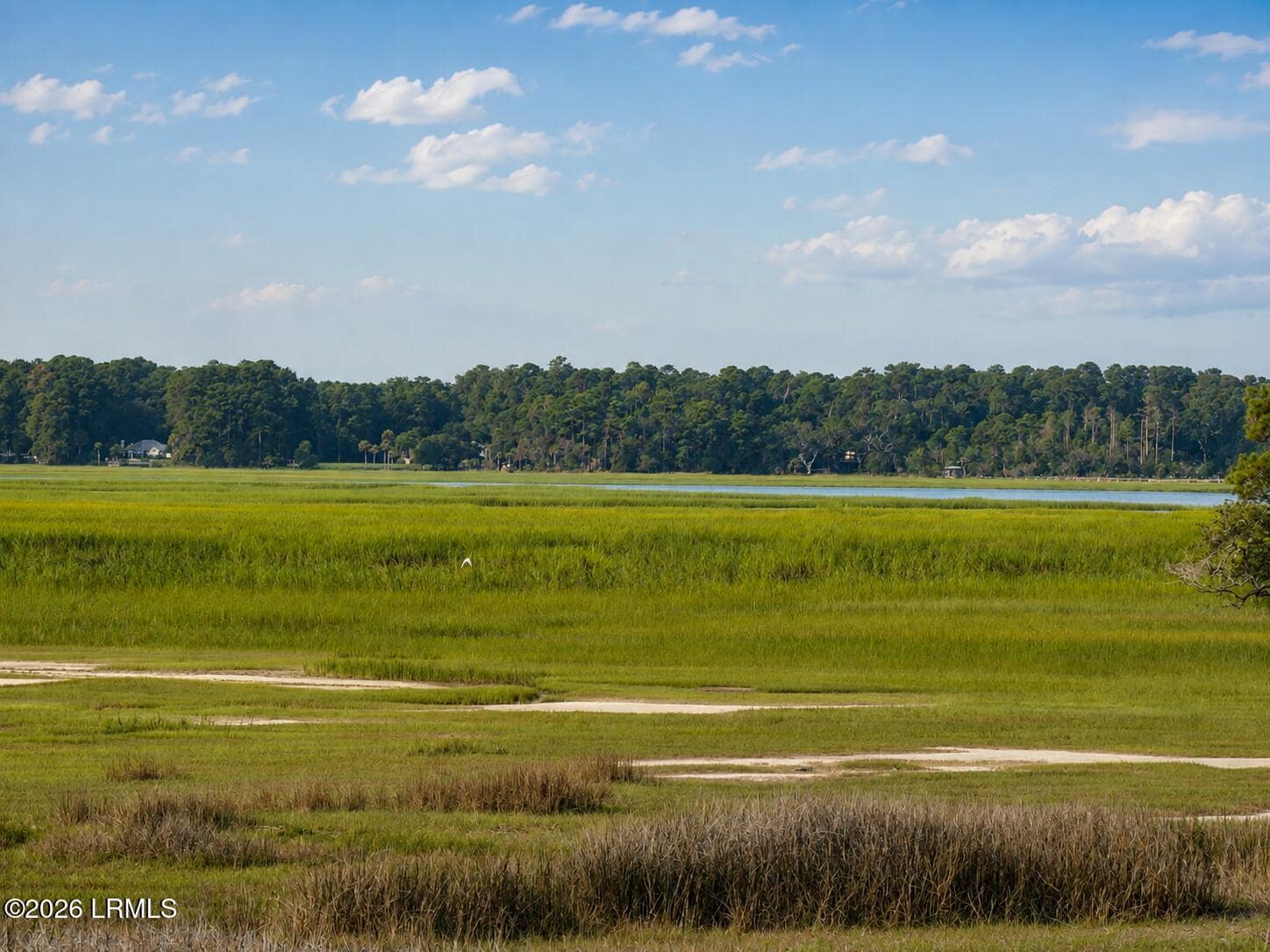 2 Bent Tree Lane, Okatie, SC 29909 — photo 1 of 33