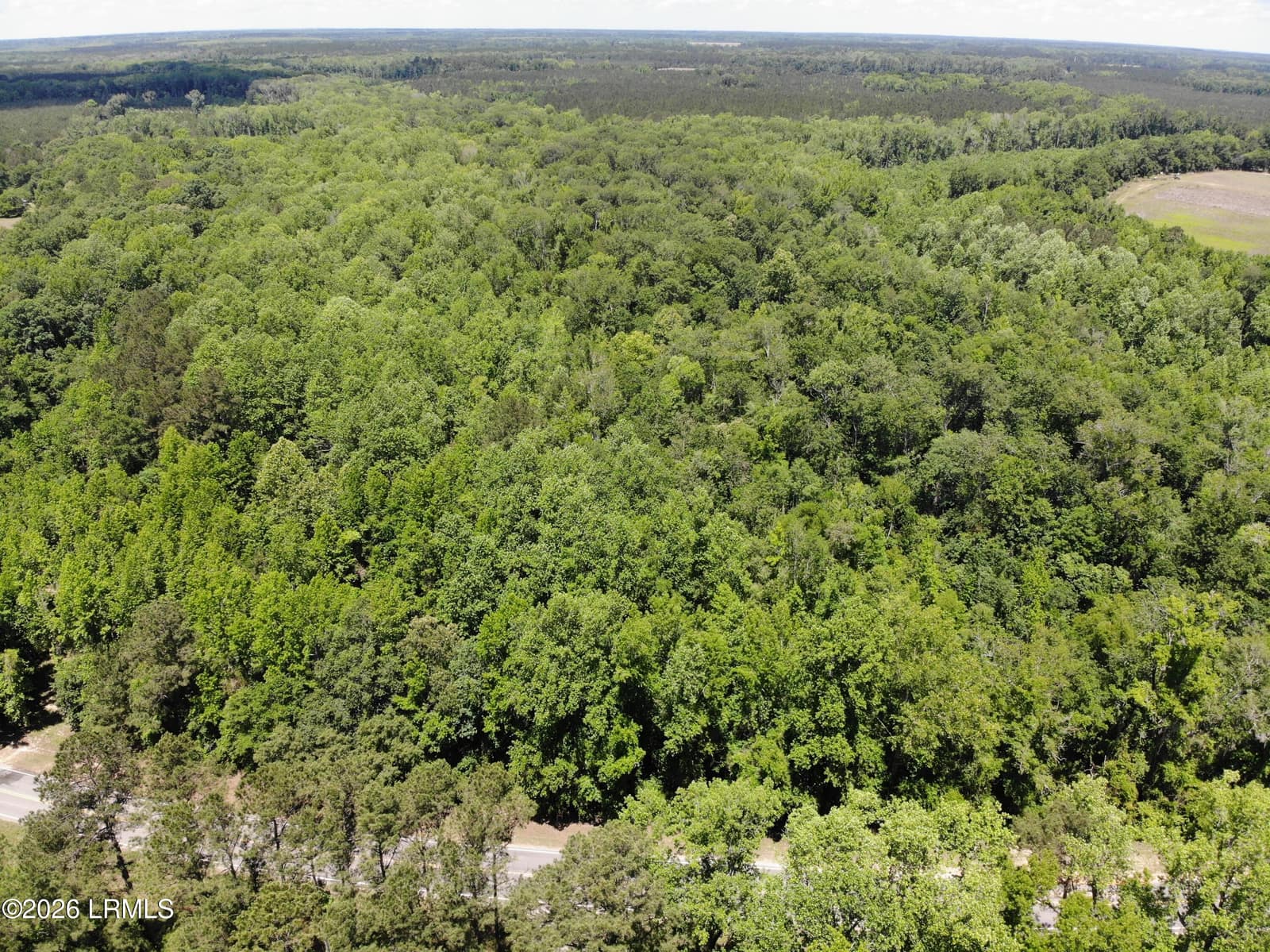Tbd B Confederate Highway, Fairfax, SC 29827 — photo 1 of 11