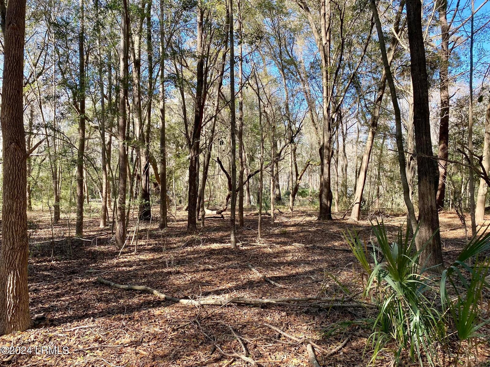 31 Honeysuckle Lane, Beaufort, SC 29907 — photo 1 of 13