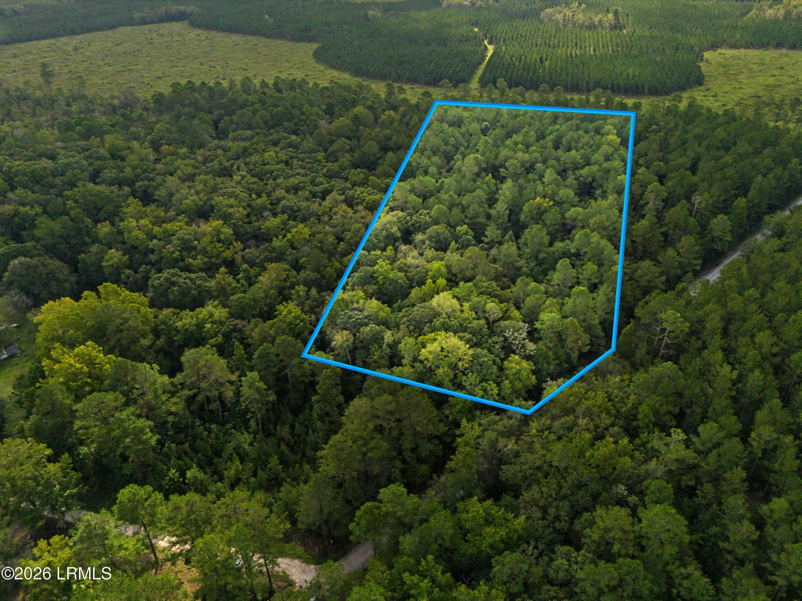 0 Tree Farm Road, Walterboro, SC 29488 — photo 1 of 30