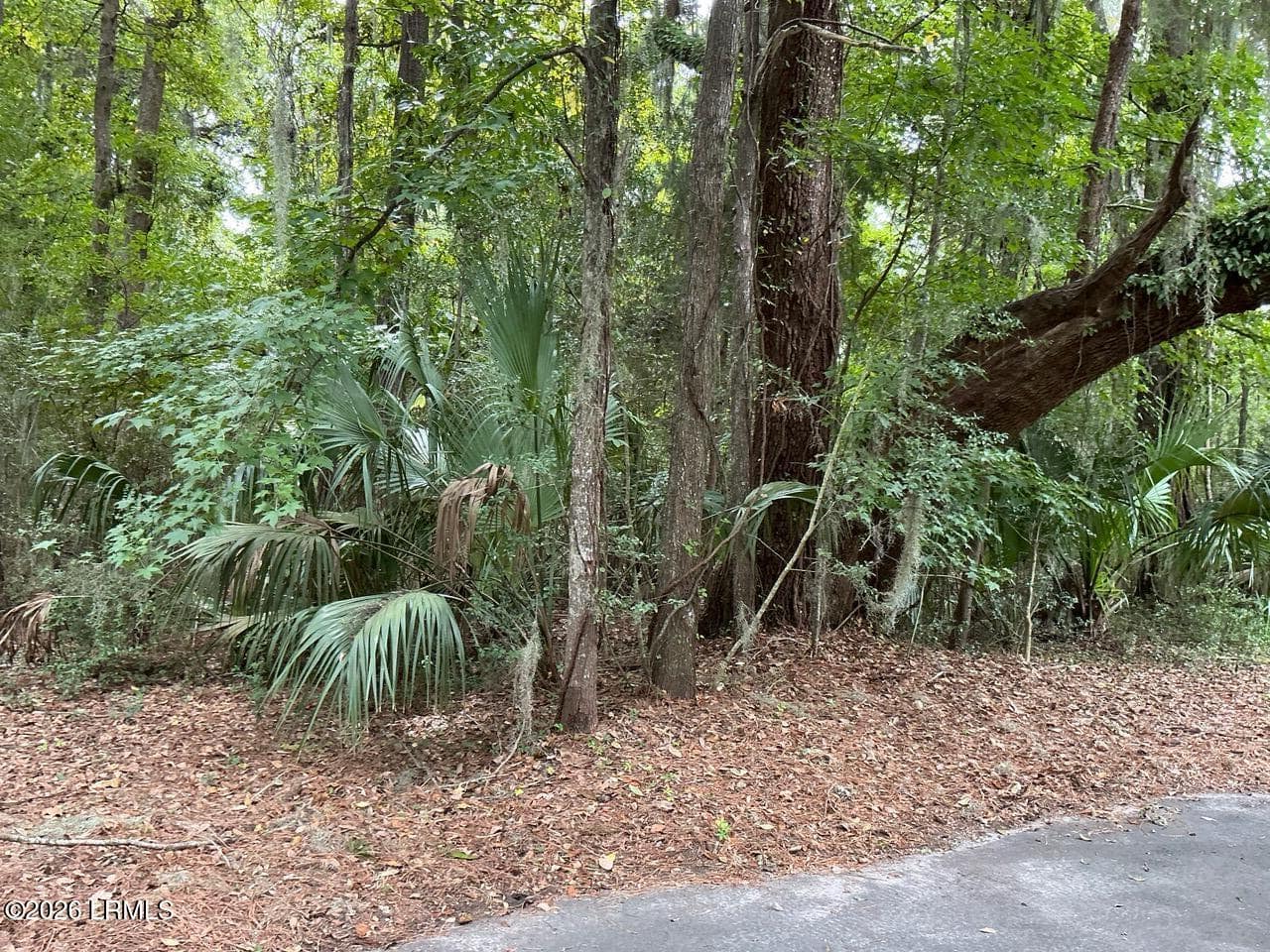 80 N Boone Road, St. Helena Island, SC 29920 — photo 1 of 22
