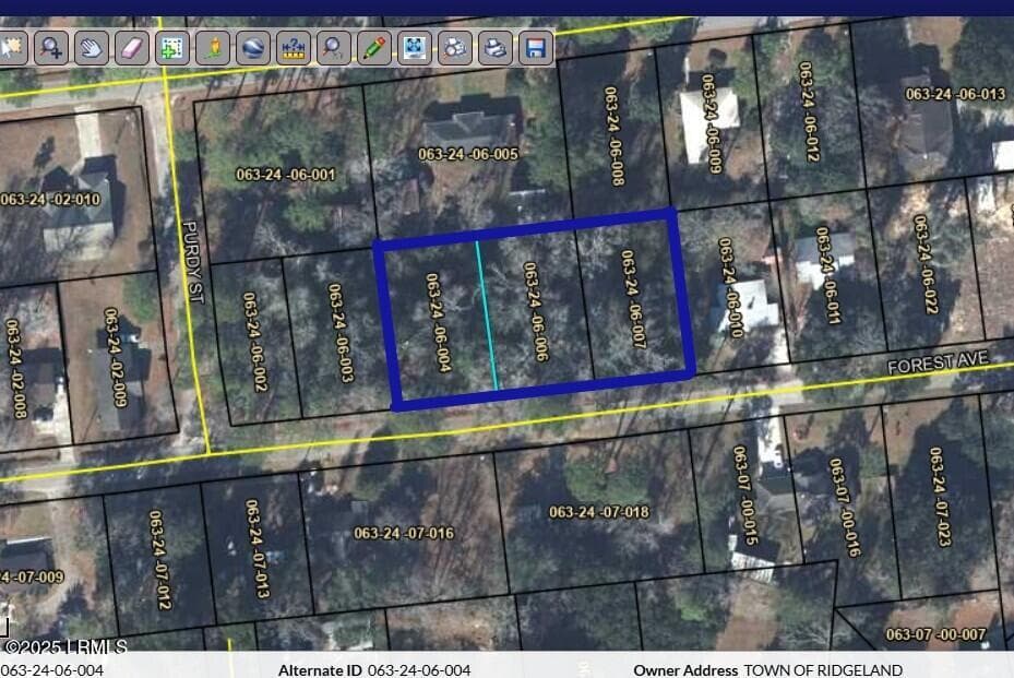 Tbd Forest Avenue, Ridgeland, SC 29936 — photo 1 of 6