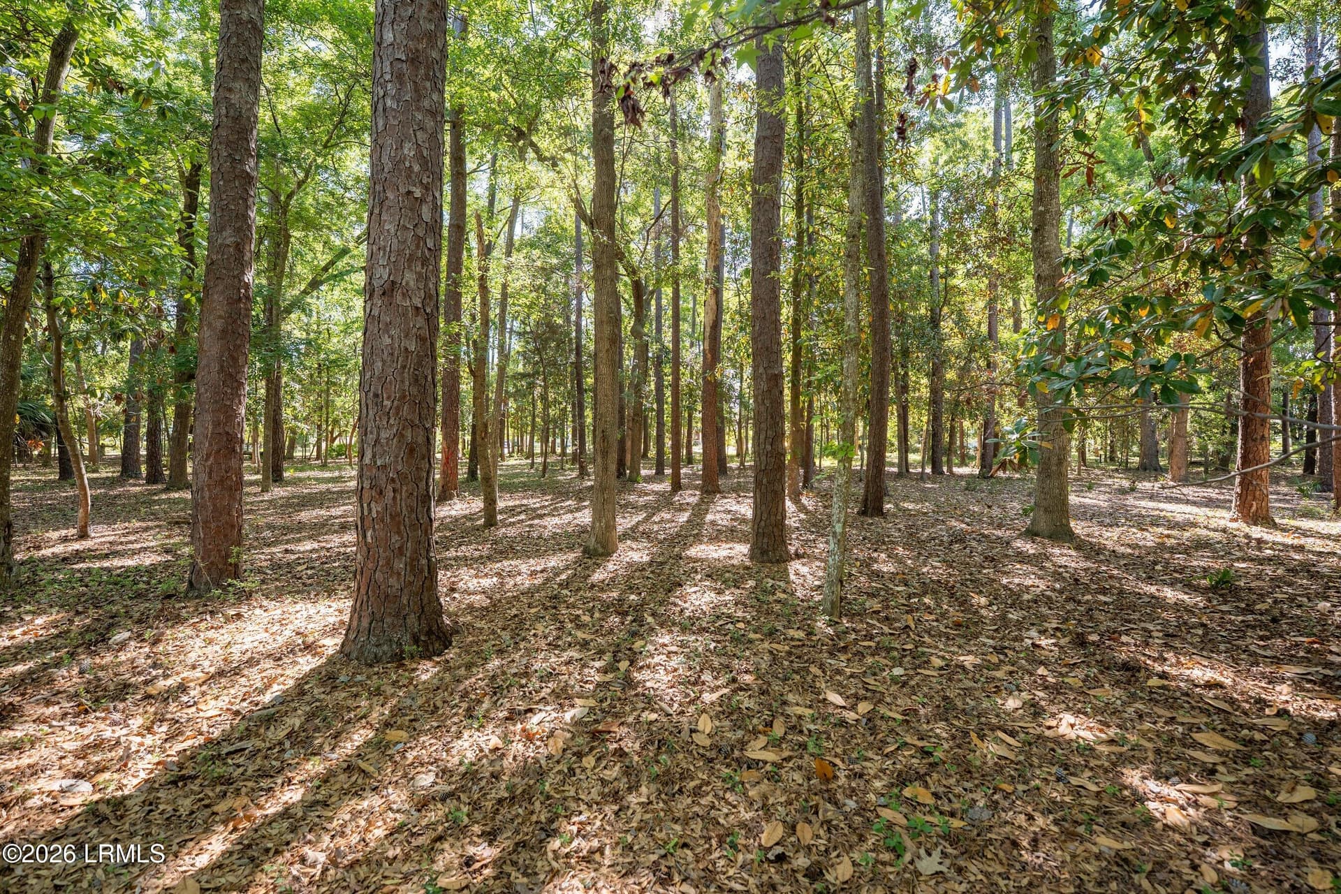 413 Battery Chase, Beaufort, SC 29902 — photo 1 of 21