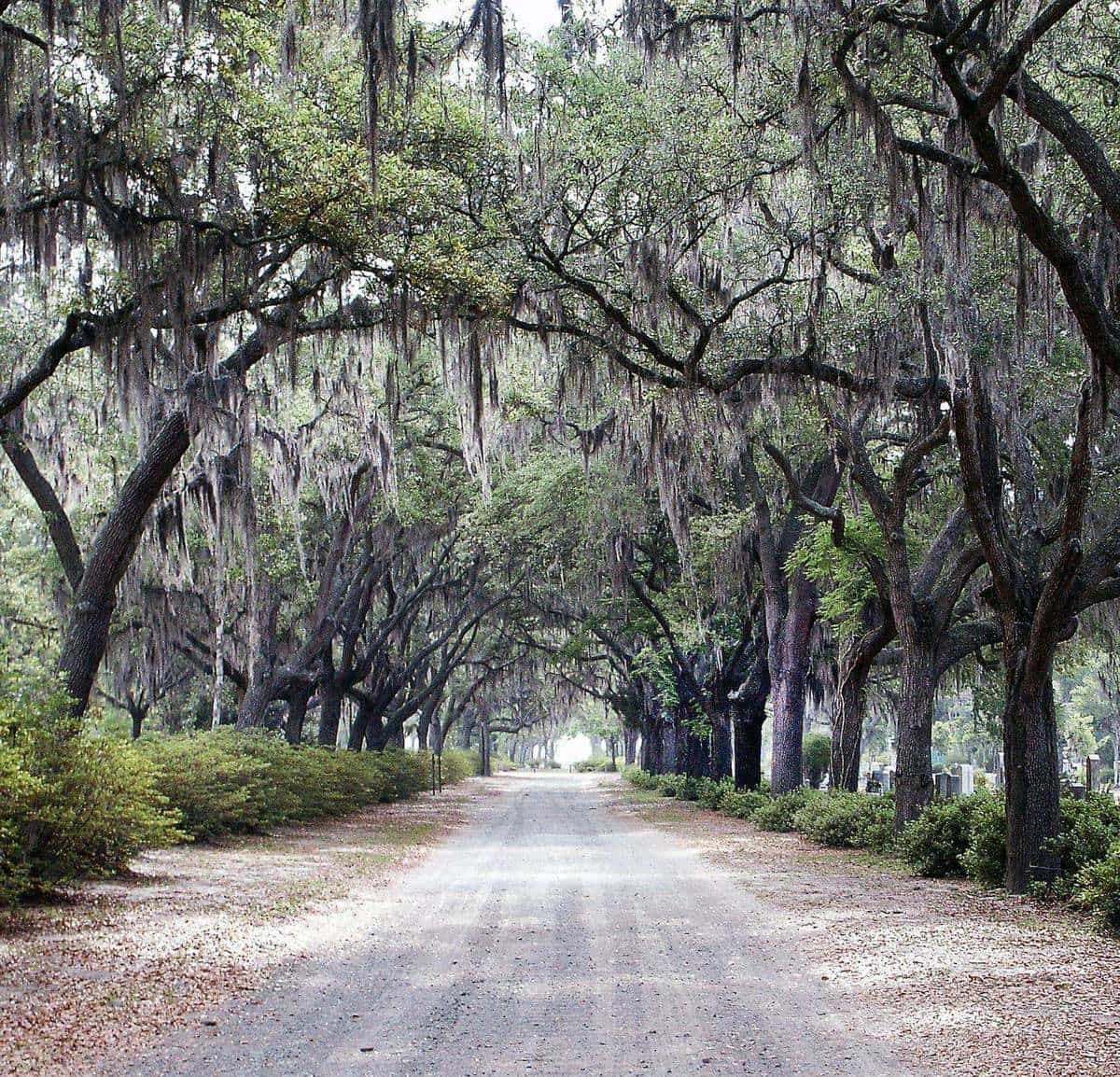 Bluffton, South Carolina Lowcountry