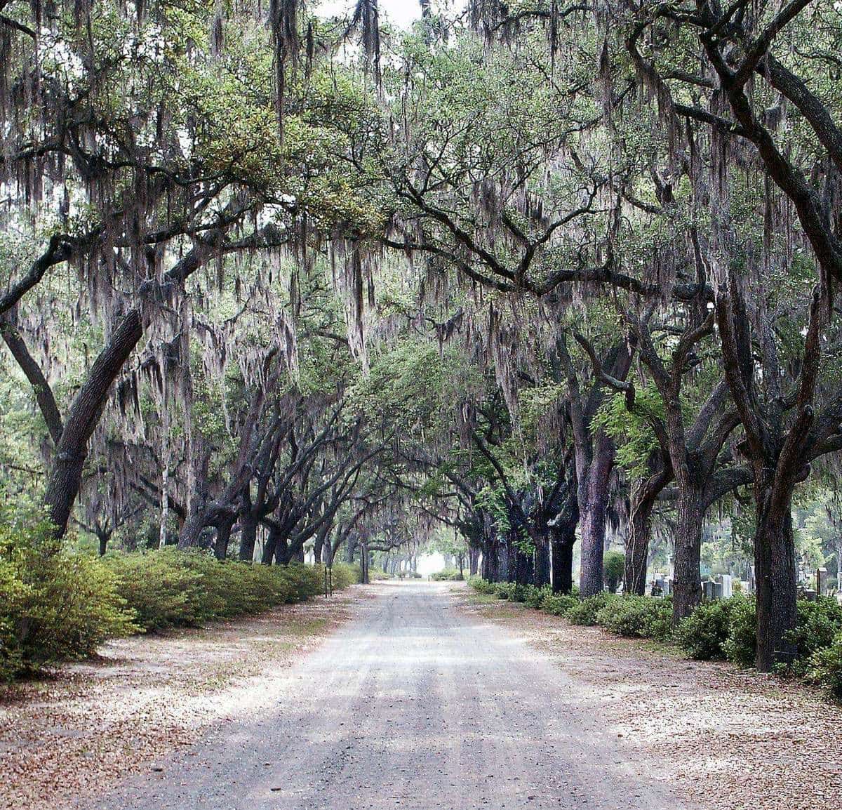 Bluffton, South Carolina Lowcountry