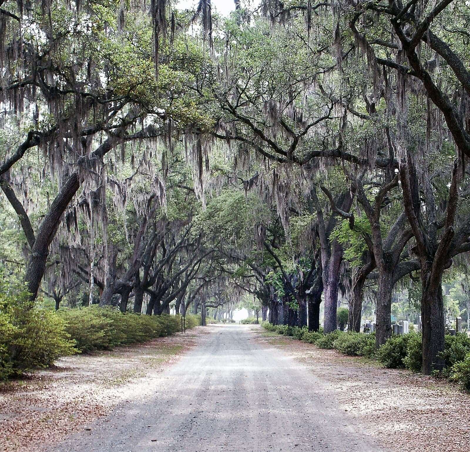 Bluffton, South Carolina Lowcountry