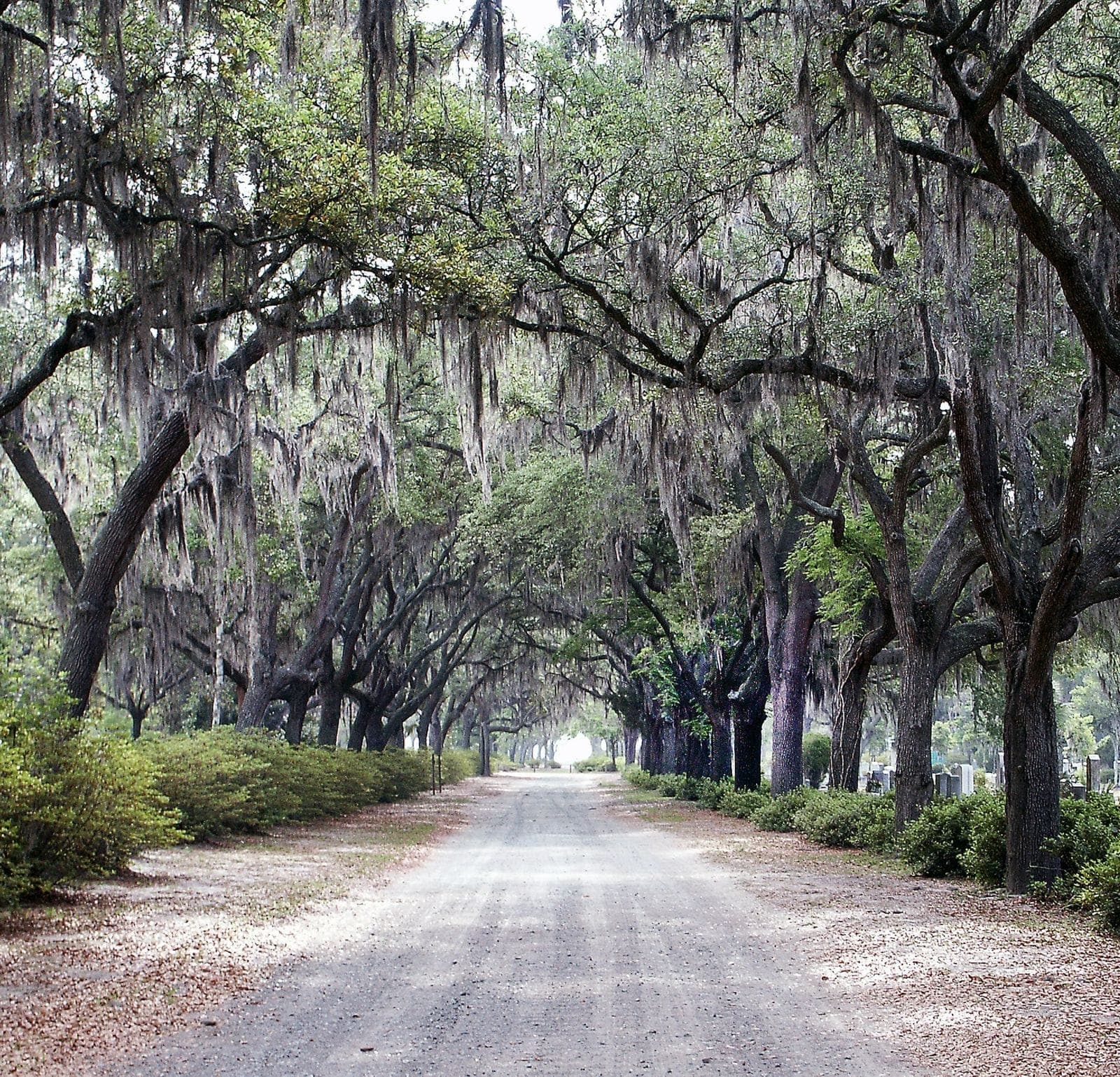Bluffton, South Carolina Lowcountry