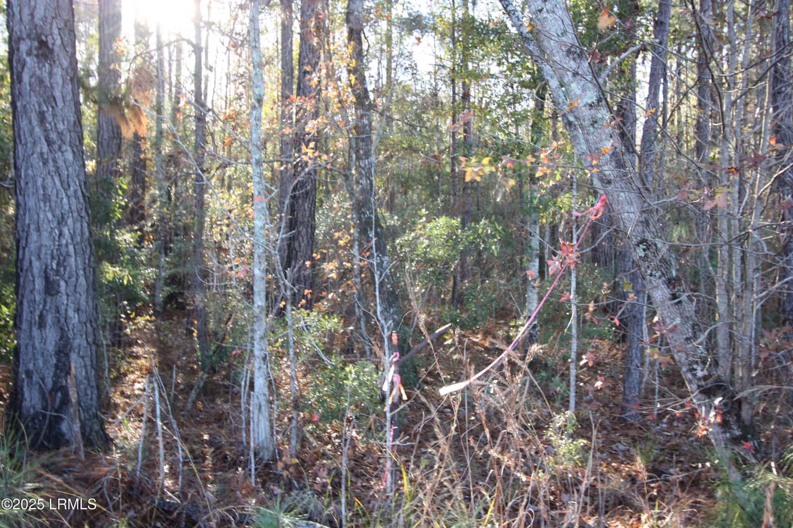 Tbd Main Or Walterboro # 63 Highway N, Varnville, SC 29944 — listing photo