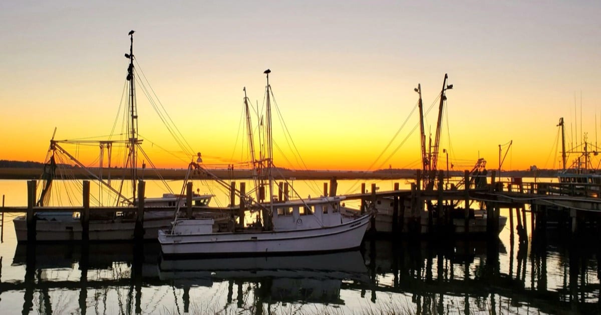 Lowcountry Market Pulse | Live MLS Data | Faris Group